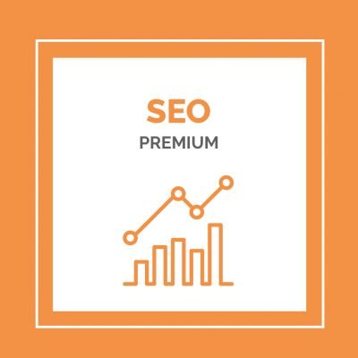 Posicionamiento SEO Premium