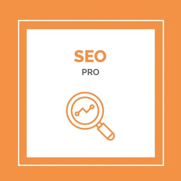 Posicionamiento SEO Pro